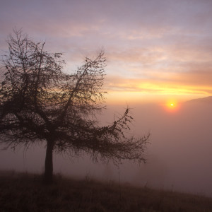 Tramonto da  loc. Balcon Pianezze  (TV)