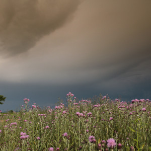 Prima della tempesta