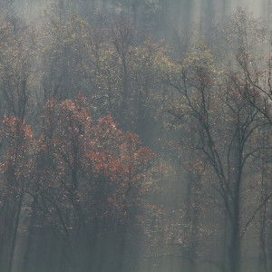 Palù in autunno