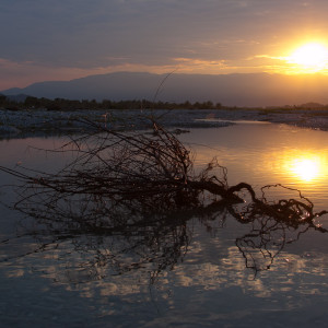 La Piave a Vidor