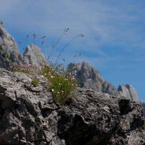 Monte Agnèr (2.872 m s.l.m.)