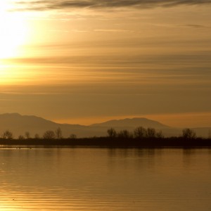 Riserva Naturale Regionale della Foce del fiume Isonzo