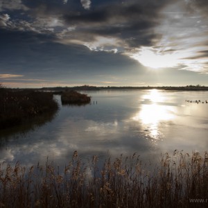 Marano Lagunare riserva naturale (Ghiaccio in valle)