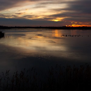 Marano Lagunare riserva naturale