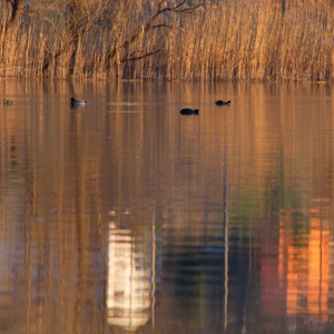 Lago di Revine