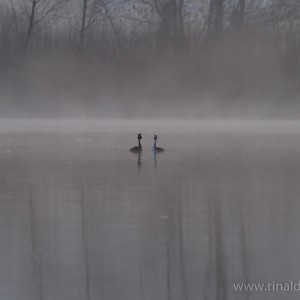 L’incontro