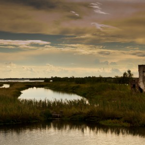 Delta del Po (Vecchio casolare)